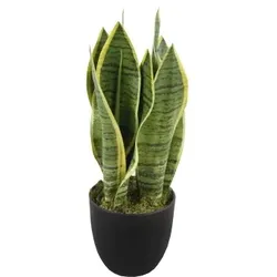 Lex Kunstpflanze Bogenhanf Tischpflanze Zimmerpflanze 9 Blätter 33cm