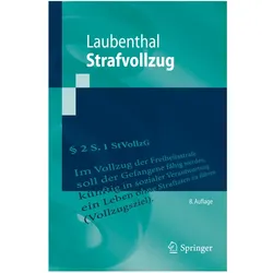 Strafvollzug, Fachbücher von Klaus Laubenthal