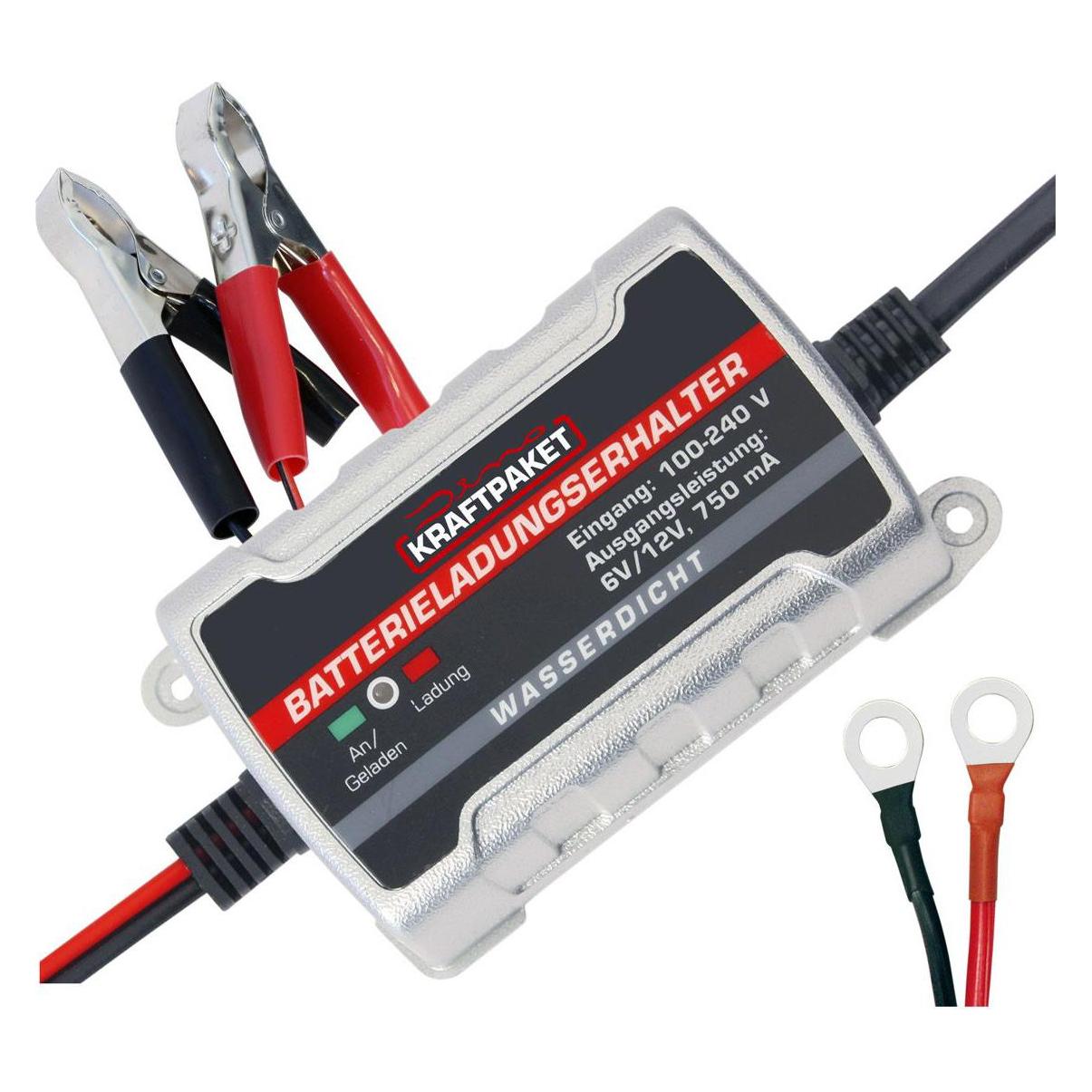 Dino Automatikladegerät (0.75 A, 12V, 6V) (136303)