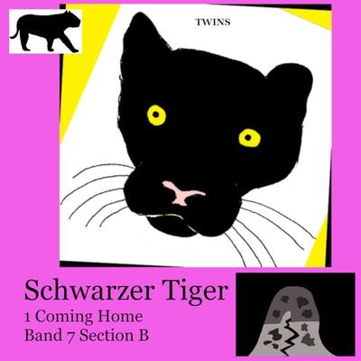Schwarzer Tiger 1 Coming Home - TWINS, Audio, 9783989839694