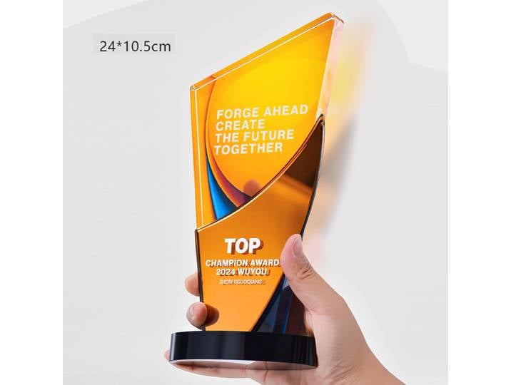 Trophée en cristal personnalisé, prix d'impression en couleur, réunion annuelle sportive, Souvenir exceptionnel des employés, décoration de la maison, 1 pièce