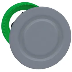 Schneider Electric ZB5FSZ3C0 Blindstopfen, Frontelement, Harmony XB5F, Kunststoff, 30mm, hellgrau, unbeschriftet, rund