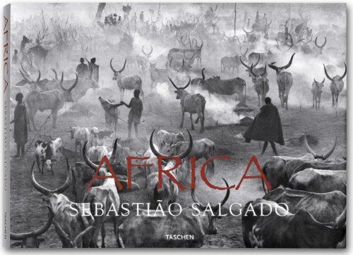 Mia Couto - Africa - Preis vom 09.10.2026 07:28:09 h