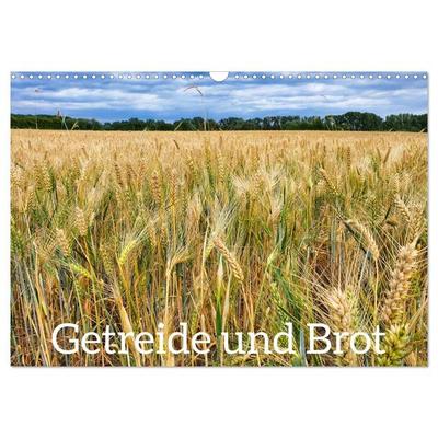 Getreide und Brot (Wandkalender 2027 DIN A3 quer), CALVENDO Monatskalender