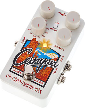 Electro Harmonix Canyon Delay & Looper