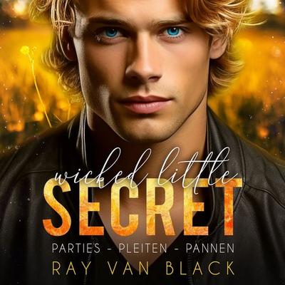 Wicked little Secret - Parties, Pleiten, Pannen: Gay Romance - Ray van Black, Audio, 9783988111715