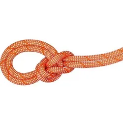 MAMMUT Bergseil 9.8 Crag Classic Rope 60m, Größe 60 in Braun Braun
