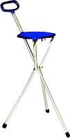 Rehaforum Medical GmbH GEHSTOCK m.Sitzfläche 1 St 03633131