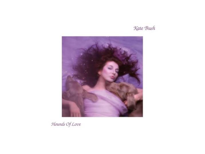 Hounds Of Love (2018 Remaster) (Raspberry Beret Vinyl) (Indies Only)
