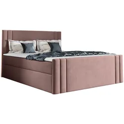 BOXBETT Carmen - H3