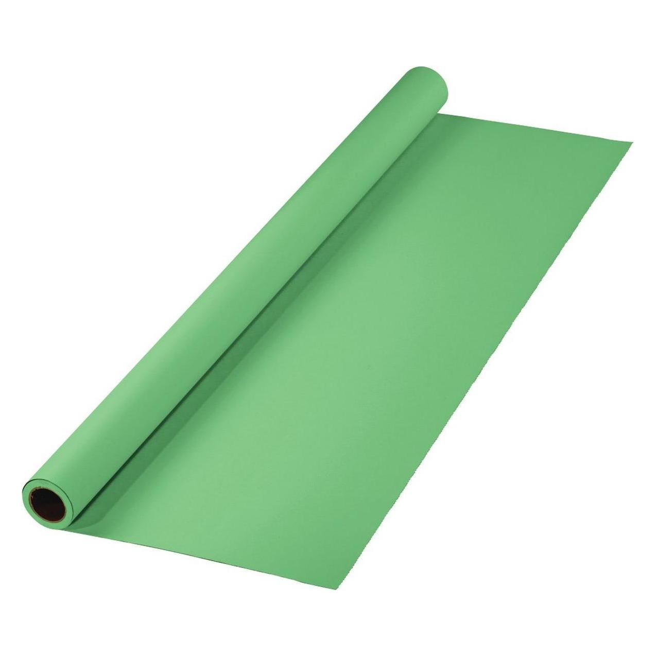 Hama Hintergrund, Karton, 2,75 x 11 m, Greenscreen-geeignet, Minzgrün (275 cm, 1100 cm) (00021534)