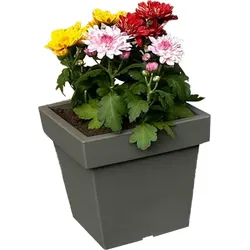 POWERTEC GARDEN Pflanztopf „Vigo'' aus Kunststoff, ca. 4 Liter - eckig - Steingrau