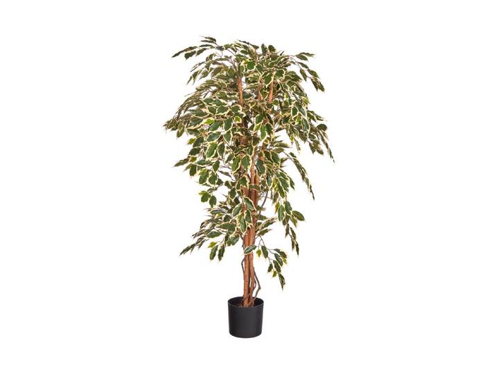 Mica Kunstficus Grün im Plastiktopf 75 × 150 cm