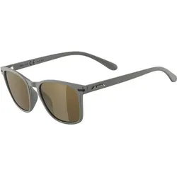 ALPINA Herren Brille YEFE, Größe ONE SIZE in Grau Grau
