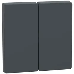 Merten MEG3400-6034 Wippe für Serienschalter, Anthrazit, System Design MEG34006034