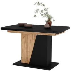Vicco, Esstisch, Esszimmertisch Fenaro (120 x 120 x 77.30 cm)