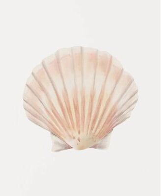 Inspired Living Ocean Breeze Coastal Wall Art Set Watercolor Seashell & Starfish Prints 20x30cm No Frame 4