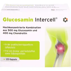 Glucosamin Intercell 120 ST
