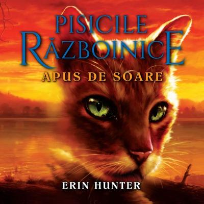 Apus de Soare - Erin Hunter, Audio, 9789152168769