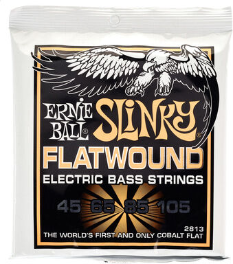 Ernie Ball 2813