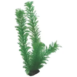 Hobby Egeria (Dekoration, Pflanzen), Aquarium Dekoration