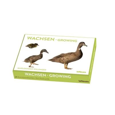 Wachsen, Kunstkartenbox, Sonstige von Willemsen, TeNeues Verlag ein Imprint des Gestalten Verlags