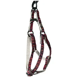 Martin Sellier Bulle (Katze, Spazieren), Halsband + Leine