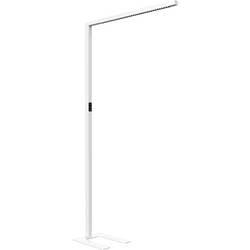 Maul MAULplinus 8259595 LED-Standleuchte LED Lichtquelle durch Elektrofachkraft austauschbar Silber