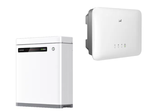 GoodWe LX U5.0-30 + GW6000-ES-20 HYBRID