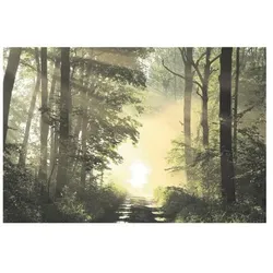 Paperflow Wandbild »Wald«