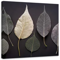 LEINWANDBILD Minimalismus hinterlässt Glamourpflanzen 30x30cm