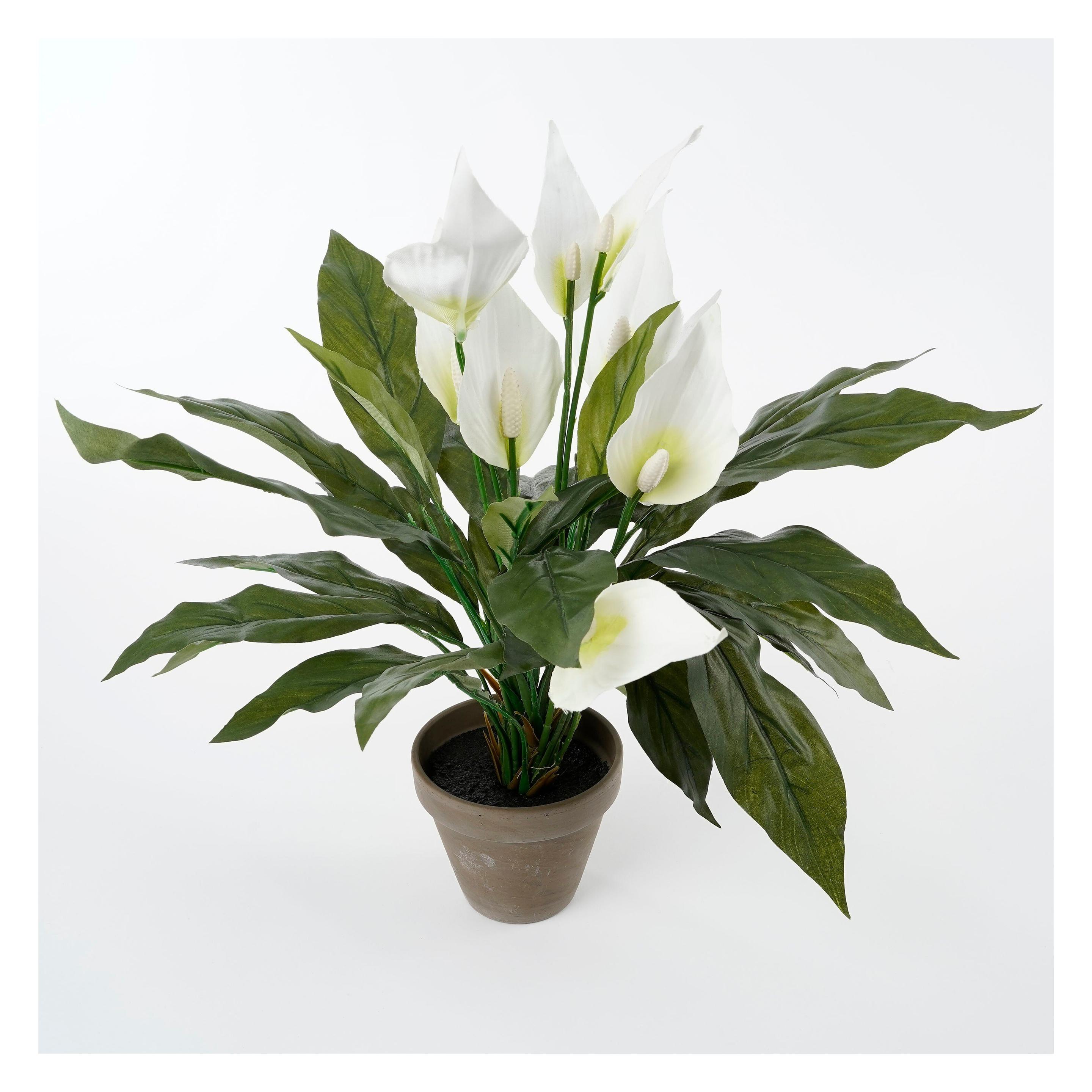 Mica Kunstblume Einblatt Spathiphyllum Ø 40 H 50 cm weiss (50 cm) (947789)