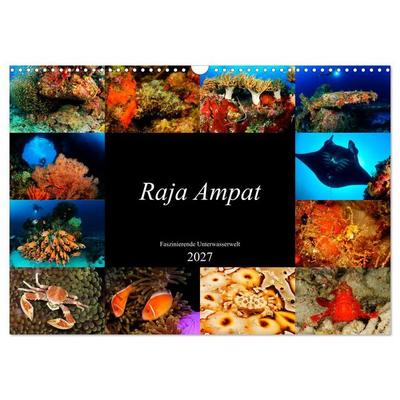 Raja Ampat - Faszinierende Unterwasserwelt (Wandkalender 2027 DIN A3 quer), CALVENDO Monatskalender