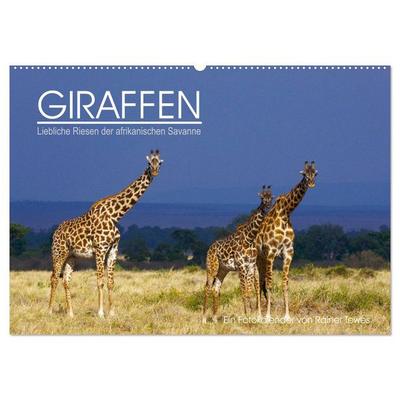 GIRAFFEN - Liebliche Riesen der afrikanischen Savanne (Wandkalender 2026 DIN A2 quer), CALVENDO Monatskalender