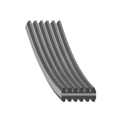 Febi Bilstein Keilrippenriemen [Hersteller-Nr. 34460] für VW, Seat