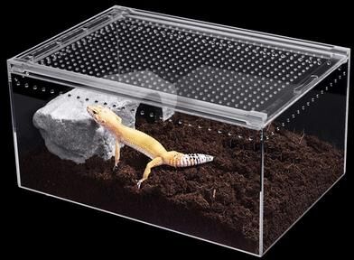 Multicon Wholesale Hub Gallon Acrylic Reptile Breeding Box Magnetic Terrarium Enclosure Gallon Acrylic Reptile Breeding Box Magnetic Terrarium Enclosure