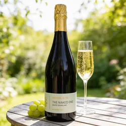 Hammel & Cie NV Hammel & Cie The Naked One White Sparkling entalkoholisiert Müller-Thurgau,Riesling,Sauvignon Blanc Deutschland