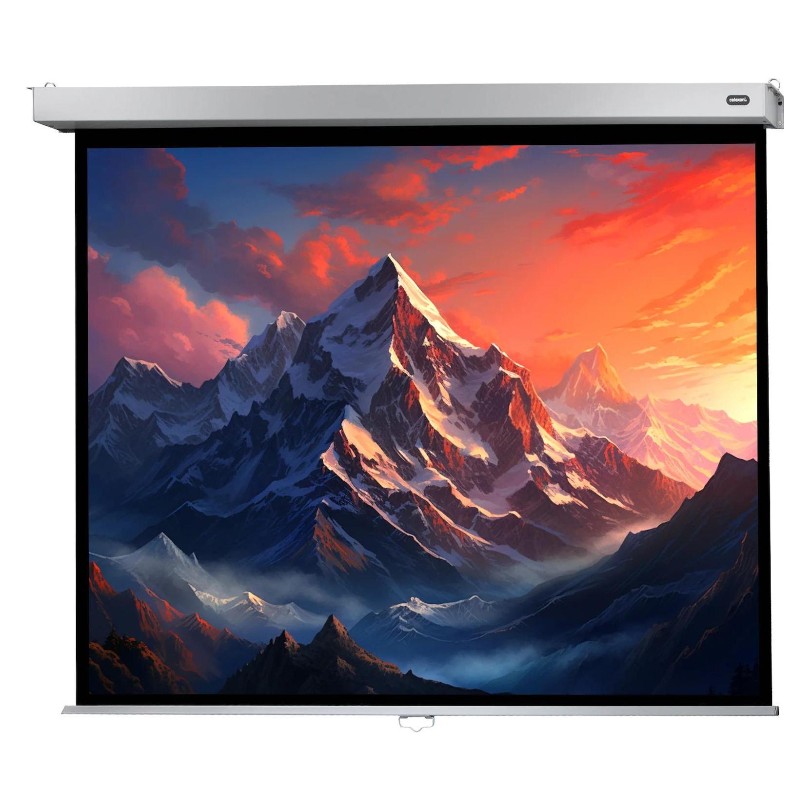 Celexon Manual Professional Plus Data format - Leinwand - Deckenmontage möglich, geeigne (89", 4:3) (1090781)