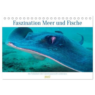 Faszination Meer und Fische (Tischkalender 2027 DIN A5 quer), CALVENDO Monatskalender