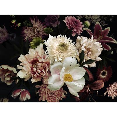 Fototapete PAPERMOON "BLUMEN ABSTRAKT-MUSTER DESIGN ROSEN BLUMEN DECOR RETRO", bunt, B:5m L:2,8m, Vlies, Tapeten