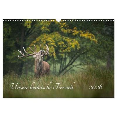 Unsere heimische Tierwelt (Wandkalender 2026 DIN A3 quer), CALVENDO Monatskalender