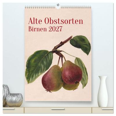 Alte Obstsorten - Birnen 2027 (hochwertiger Premium Wandkalender 2027 DIN A2 hoch), Kunstdruck in Hochglanz