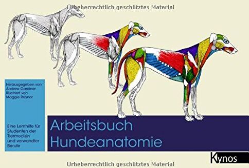Andrew Gardiner - Arbeitsbuch Hundeanatomie: Eine Lernhilfe für Studenten der Tiermedizin und verwandte Berufe - Preis vom 10.10.2026 11:48:34 h