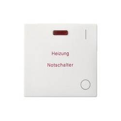 ELSO 273224 ELSO Wippe 273224 bel. Kontrollaussch. 2p. HNS rw Heizungs-Notschalter ELSO 10 St.