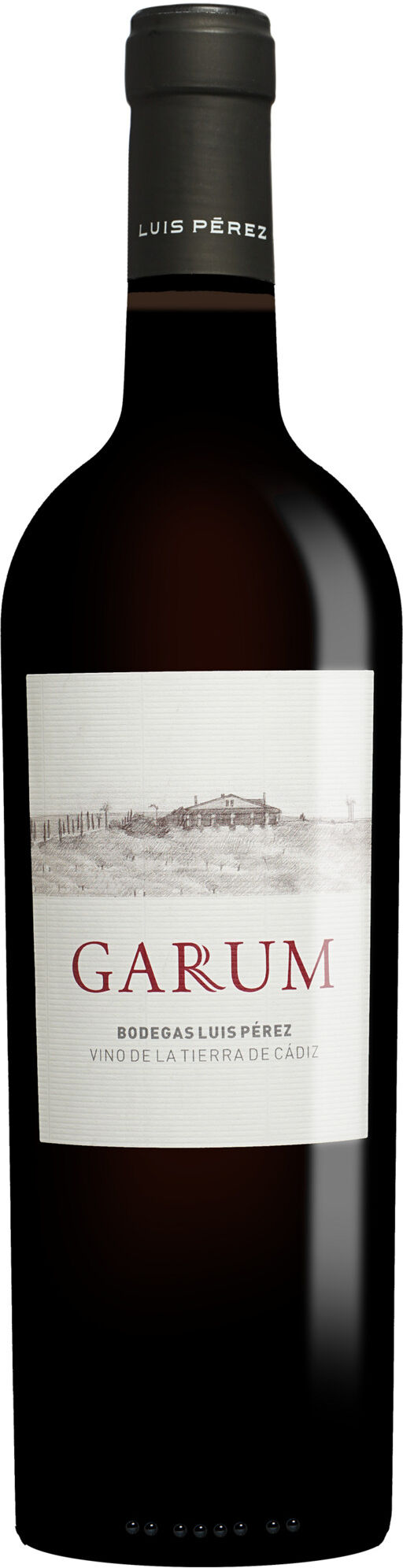 Luis Pérez »Garum« 2024 14.5% Vol. Rotwein Trocken aus Spanien
