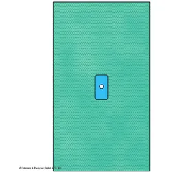 Raucodrape PRO Extremitätentücher Hand/Fuß,steril, 100 x 175 cm (20 Stck.)