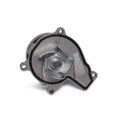 HEPU Wasserpumpe p434 für MINI