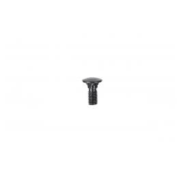 Alphacool Eiskoffer - Schlossschraube M5 x 10 Innensechskant Linsenkopf (90364)