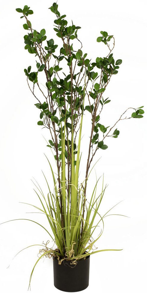 Europalms Immergrünstrauch Mit Gras, Kunstpflanze, 120 Cm