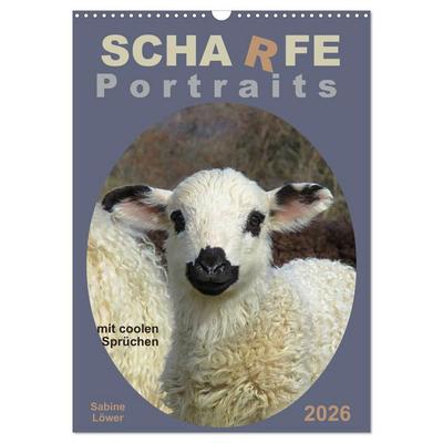 Scharfe Portraits (Wandkalender 2026 DIN A3 hoch), CALVENDO Monatskalender